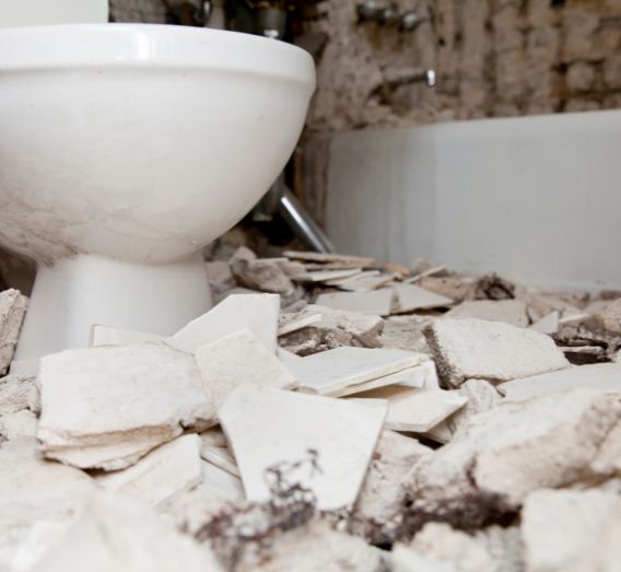 Demolition And Waste Removal