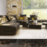 Versace Ceramics Maximvs Statuario Porcelain Panel | Slab C 3719