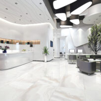 Onyx Blanco Marble Look Honed Rectified Porcelain Tile 3756