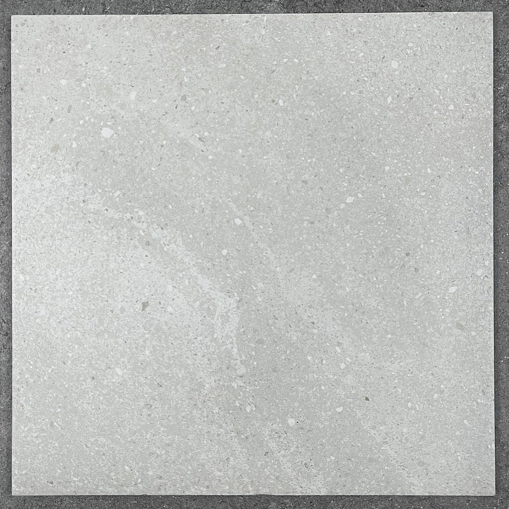 Valencia Light Grey In/Out Non-Rectified Porcelain Tile 4986