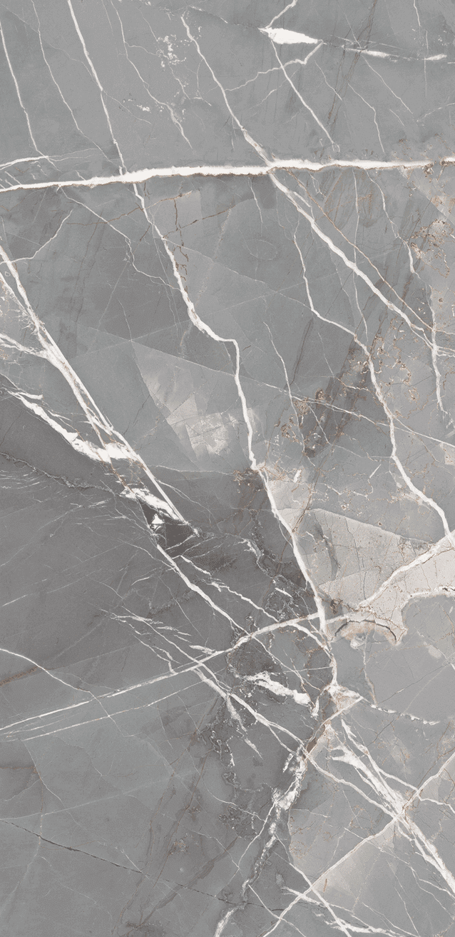 Thunder Clang Mid Grey Marble Look Polished Italian Porcelain Tile 4698