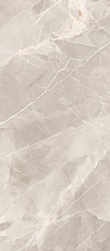 Thunder Roar Light Grey Marble Look Polished Italian Porcelain Slab 4699