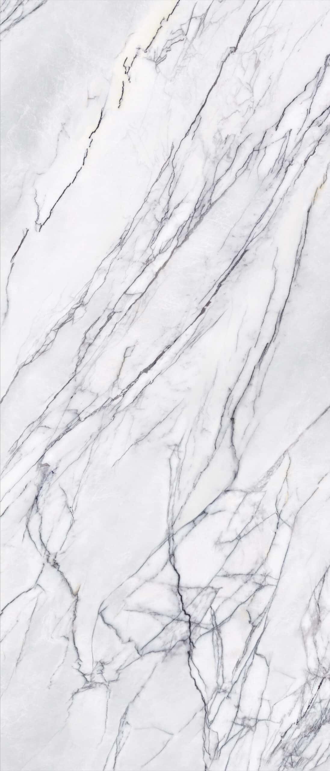 Calacatta White Marble Look Honed Spanish Rectified Porcelain Slab 4929