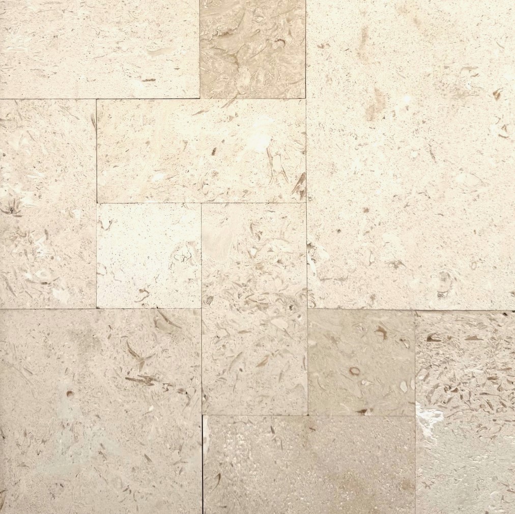 12mm French Pattern Shell Beige Tumbled Limestone Tile 8930