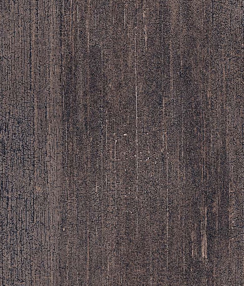 Roberto Cavalli TWS Dark Wood Look Italian Rectified Porcelain Tile 2689