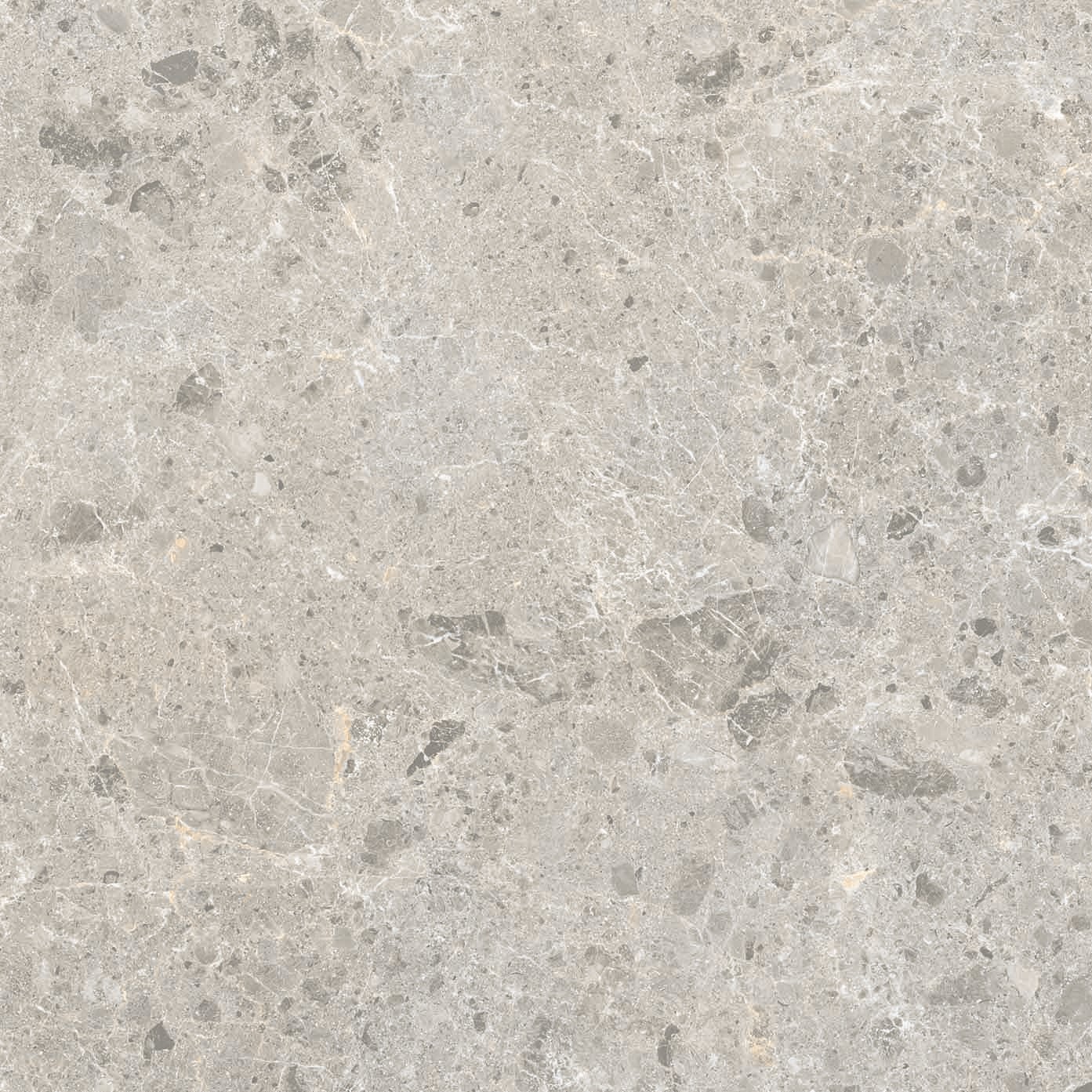 Coastal Grey Matt Rectified Porcelain Tile 2812