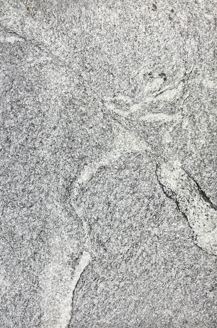 Dover White Granite Flamed Sawn Cut Paver  8793