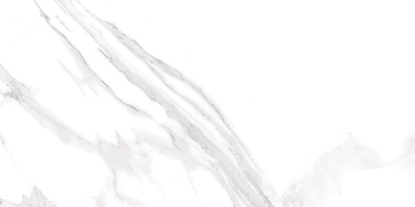 Coliseo Blanco Carrara Honed Rectified Porcelain Marble Look Tile 3782